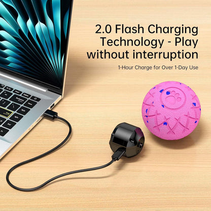 Smart Bouncing Interactive Dog Ball