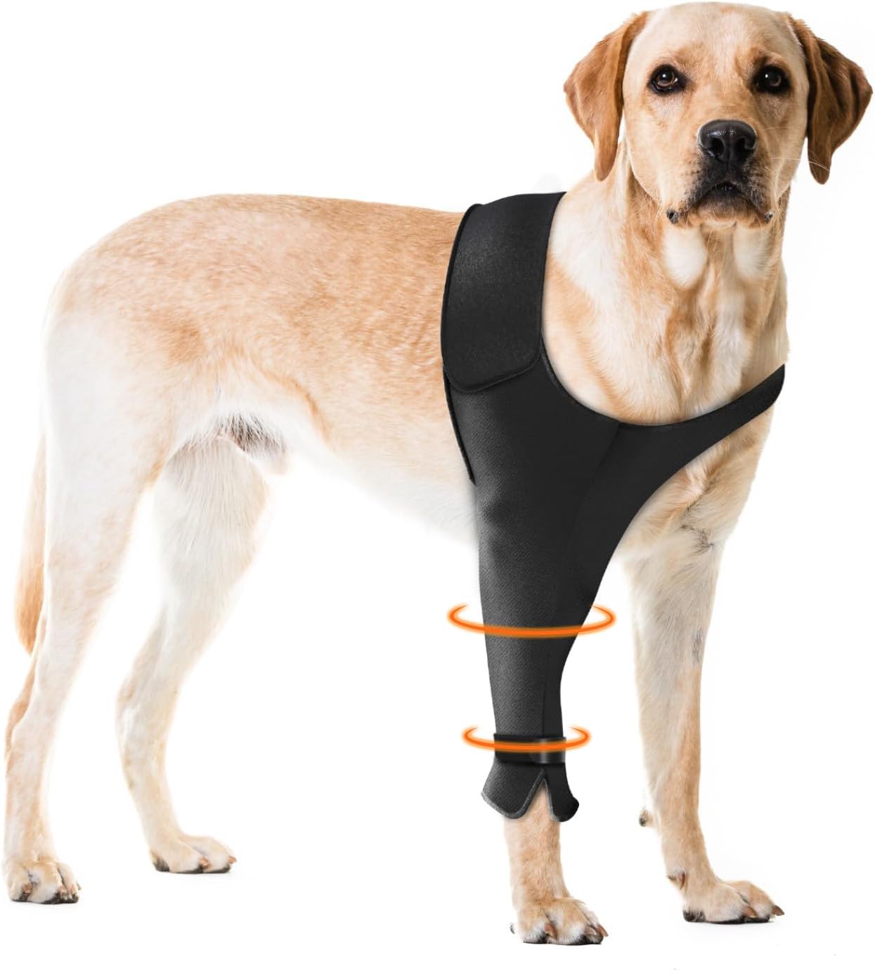 Cone-Free Dog Pain Relief Sleeve
